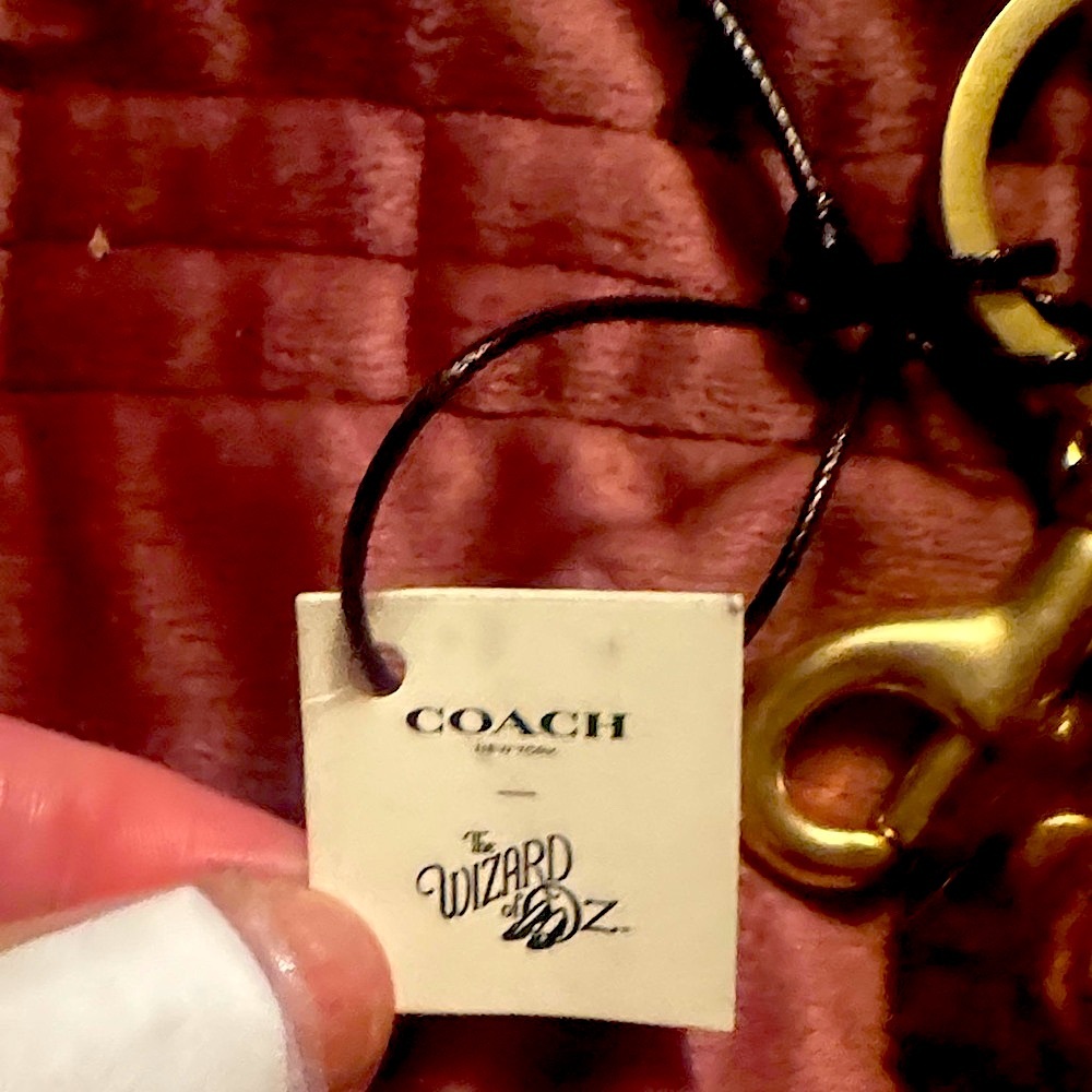 Coach Nwt 2018 Retired Coach Wizard of Oz Bear Keychain Charm the cowardly lion. - Picture 3 of 13
